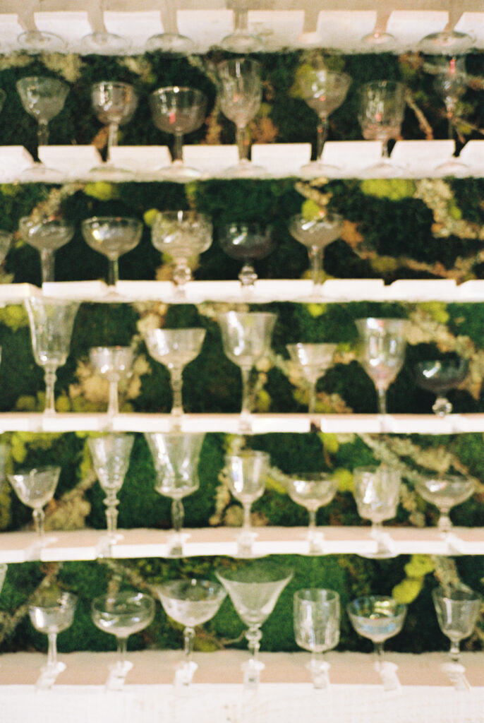 Champagne glasses sit on greenery during cocktail hour photographed during a Carolina Home and Garden wedding.