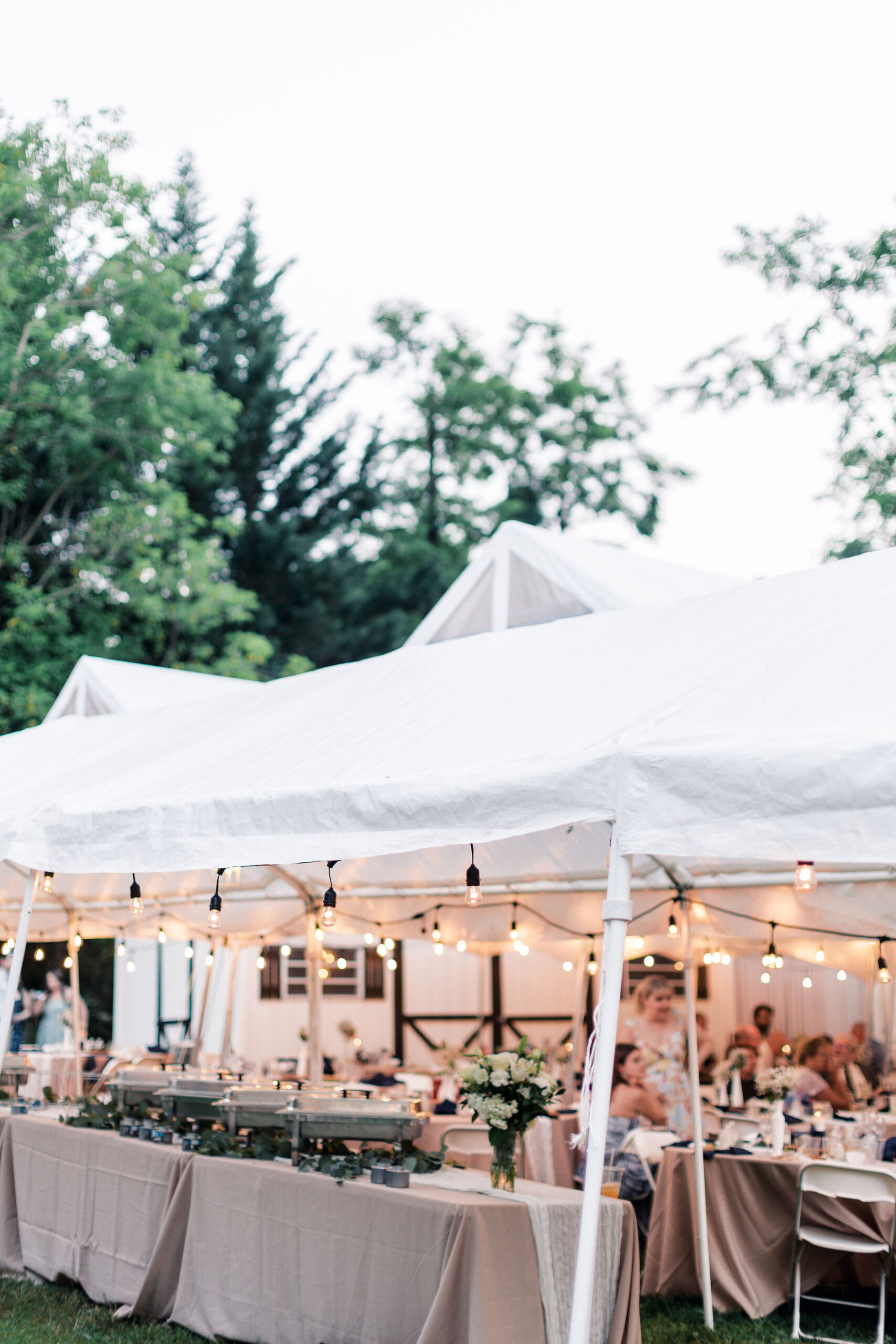 a backyard wedding reception in woodbine maryland