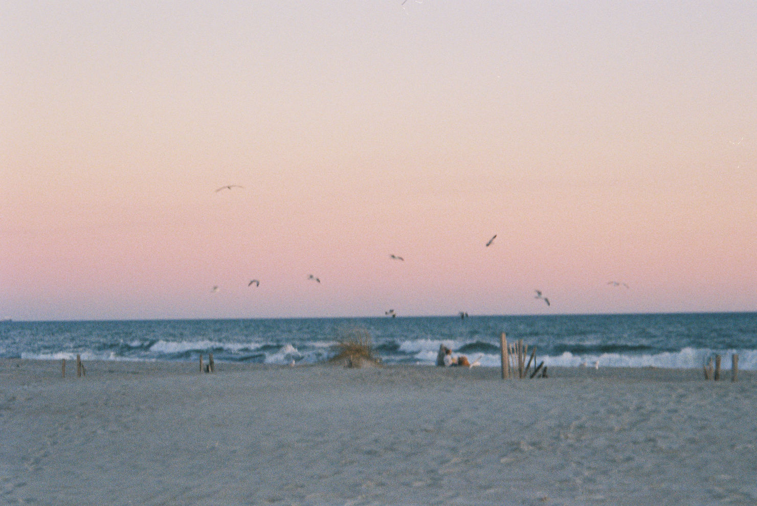 A pink sunset on 35mm film of Atlantic Beach, NC