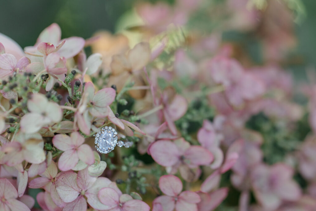 Detail photo of hydrangea bloom with engagement ring nestled in petals