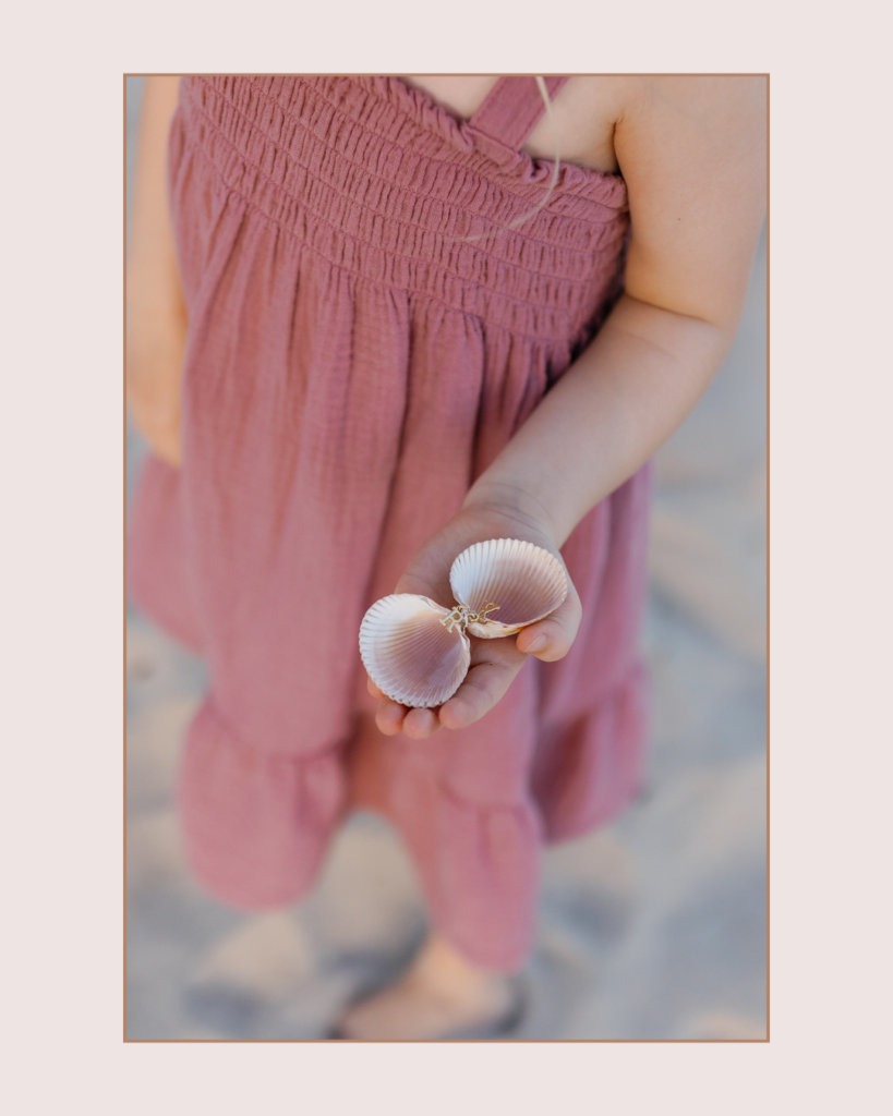 A seashell ring box made to hold the engagement ring for the proposal on the beach